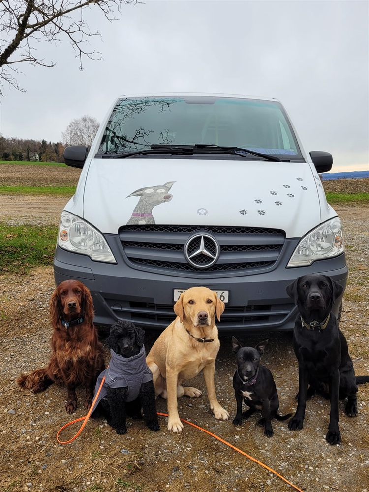 Groggi-Dog Hunde Betreuung Gabi Grogg Pfaffhausen
